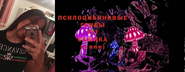 гашик Наволоки