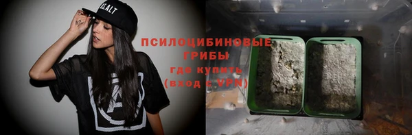 МДПВ Навашино