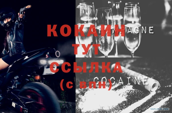 гашик Наволоки