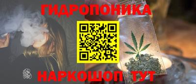 Альфа ПВП Гатчина