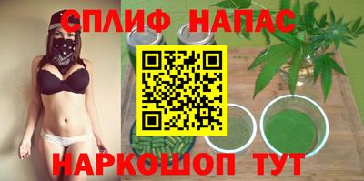 Альфа ПВП Гатчина