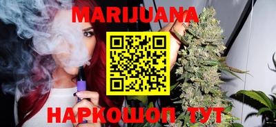 Альфа ПВП Гатчина