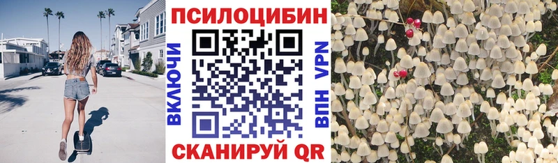 сколько стоит  Дивногорск  blacksprut онион  Галлюциногенные грибы прущие грибы 